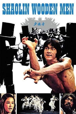 Shaolin Wooden Men 1976 Hindi Dual Audio 720p BluRay [1GB]